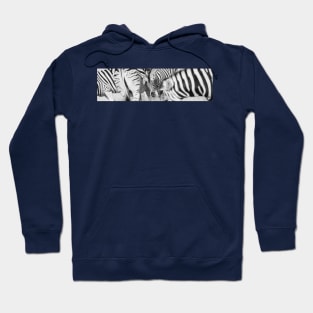 Zebra herd oblong black and white stripe full frame. Hoodie